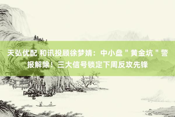 天弘优配 和讯投顾徐梦婧：中小盘＂黄金坑＂警报解除！三大信号锁定下周反攻先锋