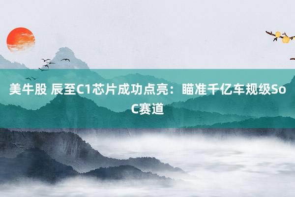 美牛股 辰至C1芯片成功点亮：瞄准千亿车规级SoC赛道