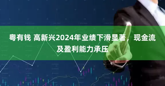 粤有钱 高新兴2024年业绩下滑显著，现金流及盈利能力承压