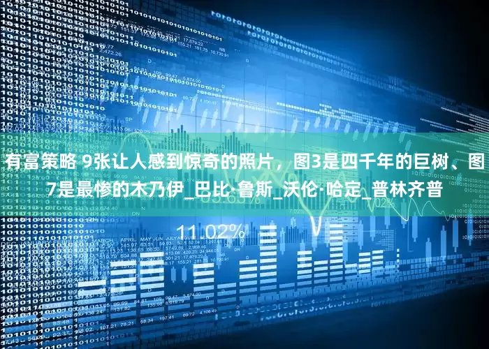 有富策略 9张让人感到惊奇的照片，图3是四千年的巨树、图7是最惨的木乃伊_巴比·鲁斯_沃伦·哈定_普林齐普