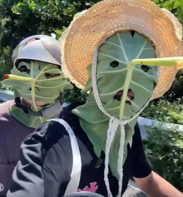 乾富策略 福州95后小伙自制荷叶面罩防晒走红，网友戏称像“蚊子”，当事人：效果好！除了脸哪都黑
