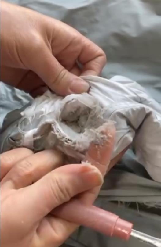 优配货主 2000元羽绒服洗一次鹅绒全碎？波司登：不属于质量问题｜消费曝光台