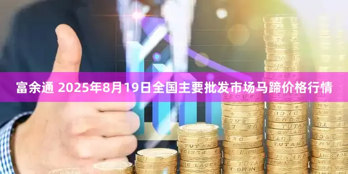 富余通 2025年8月19日全国主要批发市场马蹄价格行情